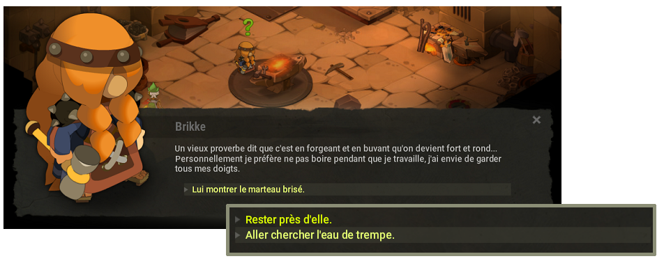 quête De Brikke et de Brokke dofus