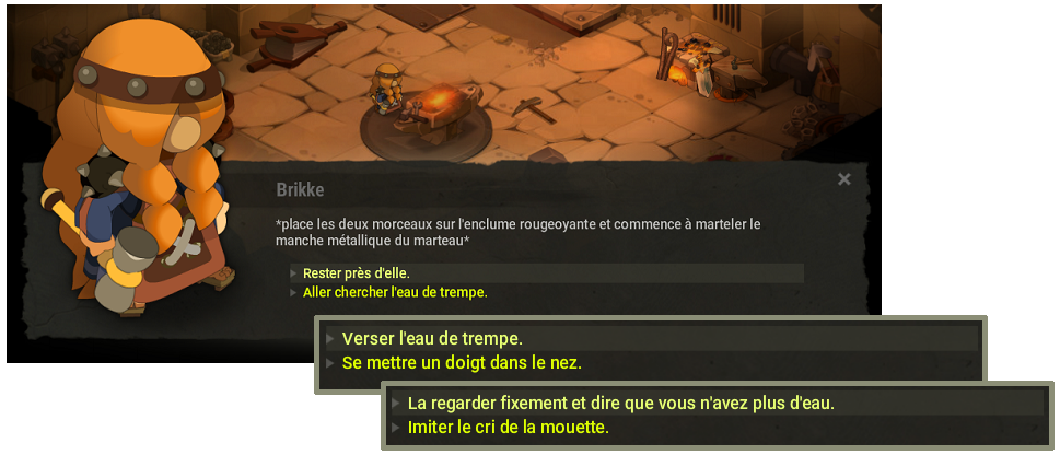 quête De Brikke et de Brokke dofus