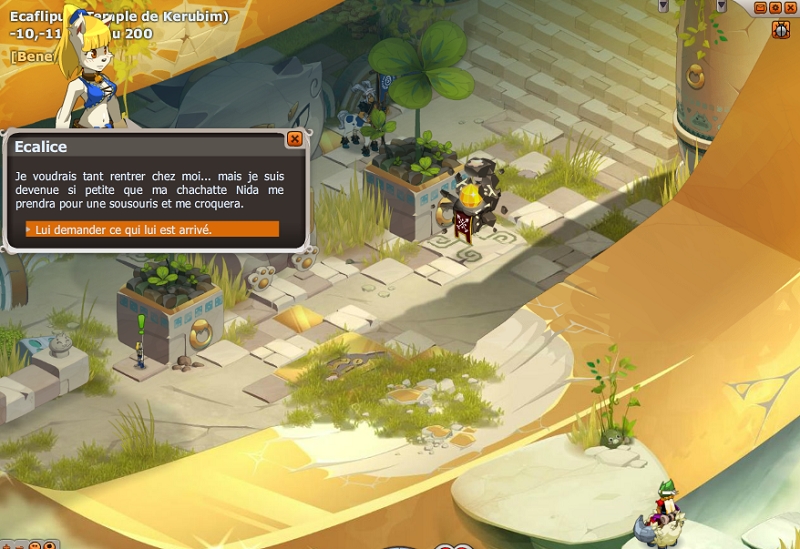 Dimensions absurdes dofus