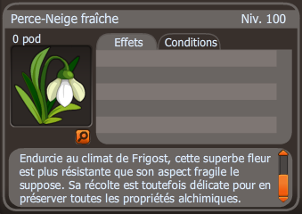 perce-neige fraîche dofus