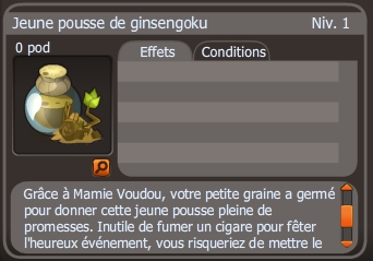 jeune pousse de ginsengoku