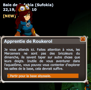 Les Mercemers sont bien outillés dofus