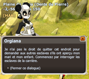 Un mâle et fils dofus