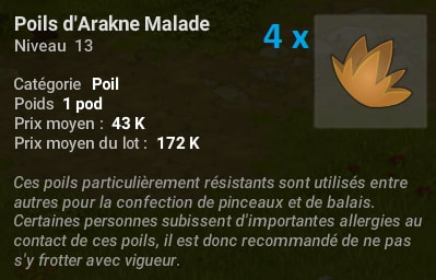 quête Une partie de cache-cache dofus