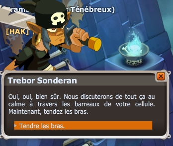 Présumé coupable dofus