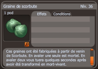 Graine de scorbute dofus