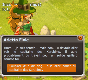 quete Ô Capitaine ! Mon Capitaine ! dofus