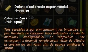 débris d'automate expérimental