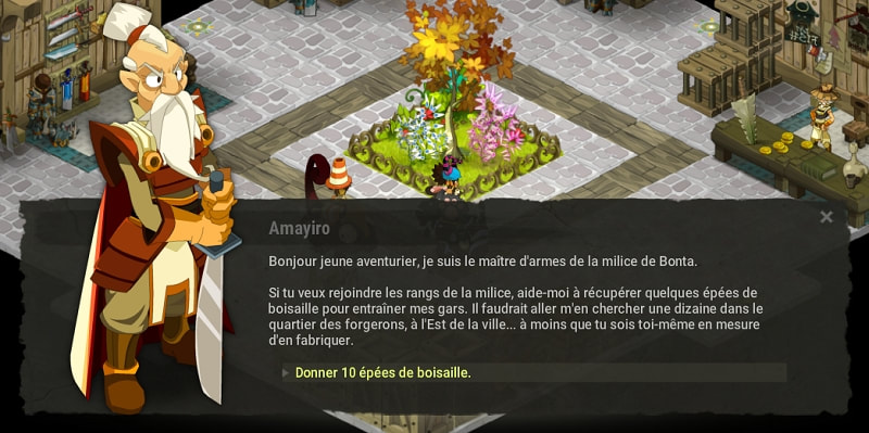 Entraînement avec Tarche dofus