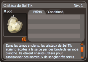 cristaux de sel tik