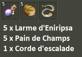 quête La mémoire en lambeaux dofus