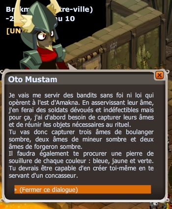 Le puits sans fond dofus