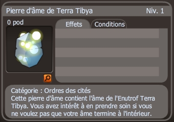 pierre d'âme de terra tibya