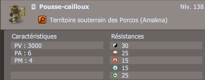 pousse-cailloux