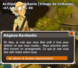 Une enquête alambiquée - Investigation dofus