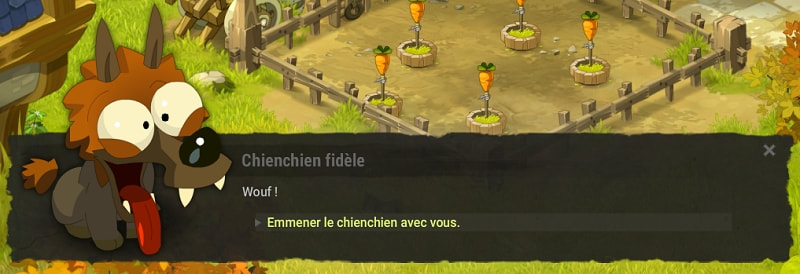 quête Série animalière dofus