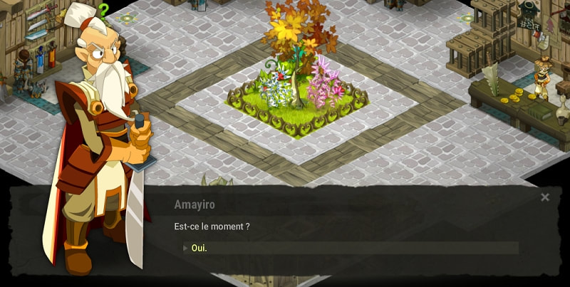 quête à l'endroit à l'envers dofus