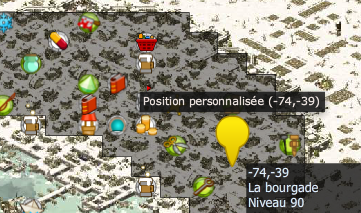 Souvenir, souvenir dofus