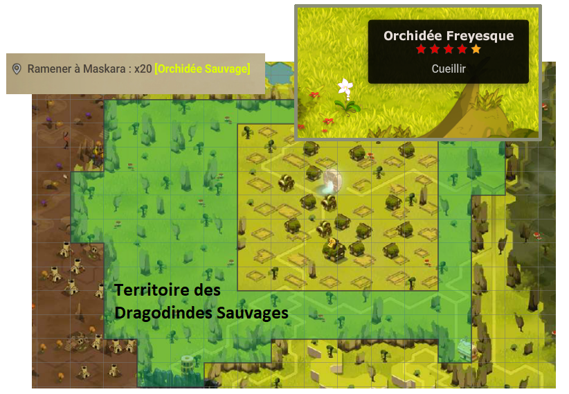 quête Des fleurs épineuses dofus