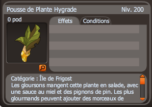 pousse de plante hygrade