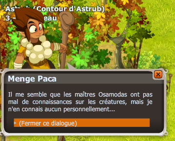 Un ours dans la bouftonerie dofus