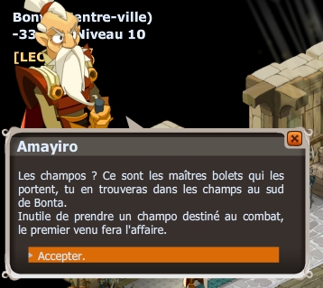 Amayiro à l'ombre du Champo dofus