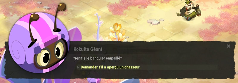 quête Shyriiwook dofus