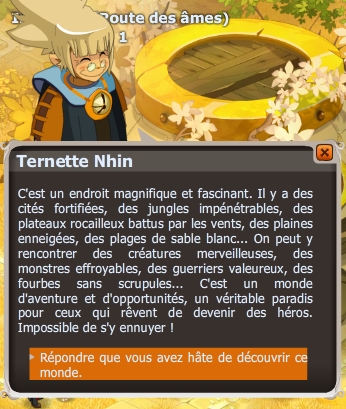 quete Vu du ciel dofus