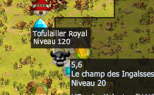 position Tofulailler Royal