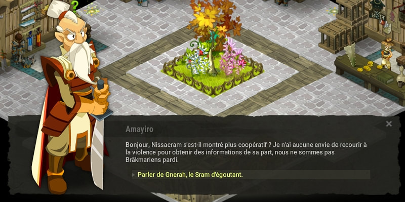 quête De drôles de témoins dofus