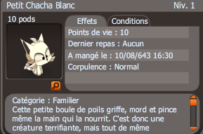 petit chacha blanc