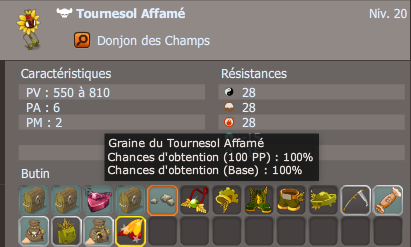 graine du tournesol affamé