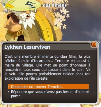 quête Le village dans les nuages dofus