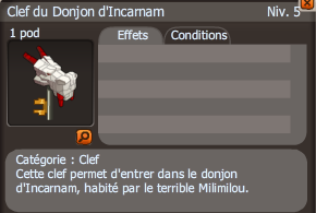 clef Donjon d'Incarnam