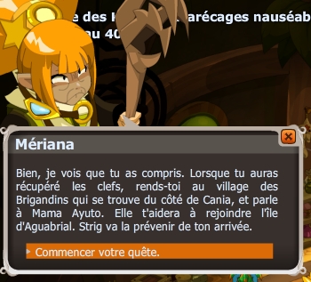 Plongeon et dragon dofus