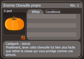 énorme citwouille propre