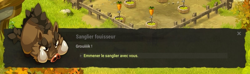 quête Série animalière dofus