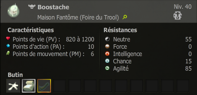 boostache dofus