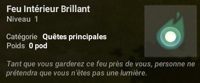 feu intérieur brillant